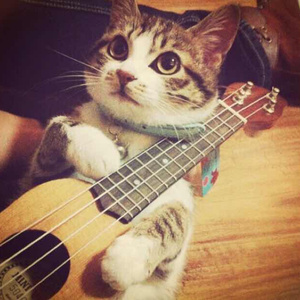 女生的隐藏图清晰图片
