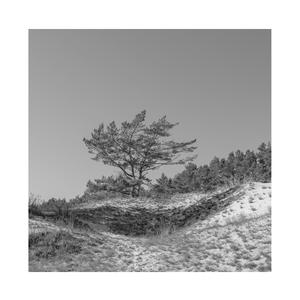 女生的隐藏图清晰图片
